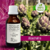 Tintura de ALCACHOFRA - 30ml