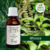 Tintura de ALFAVACA - 30ml
