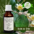 Tintura de BOLDO DO CHILE - 30ml