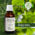Tintura de GINGKO BILOBA - 30ml