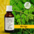 Tintura de MORINGA - 30ml