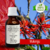 Tintura de MULUNGU - 30ml