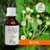 Tintura de QUITOCO - 30ml