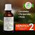 Tintura HEPATICA 2 - 30ml - comprar online