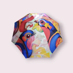 Imagen de Paraguas Largo Doppler Modern Art