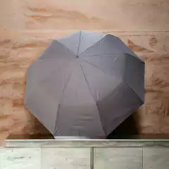 Imagen de Paraguas Mini Caballero 002