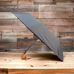 Paraguas Mini Caballero 001
