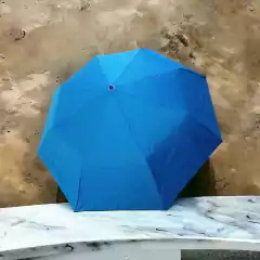 Paraguas Mini Caballero 003 - Paragueria Victor