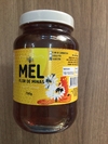 MEL SEM FAVO SILVESTRE 750G FLOR DE MINAS