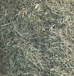 CHÁ DE ALECRIM