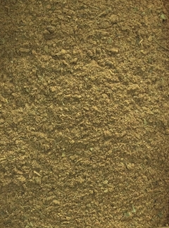 TEMPERO BAIANO COM PIMENTA