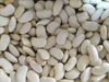 FAVA BRANCA GRAUDA