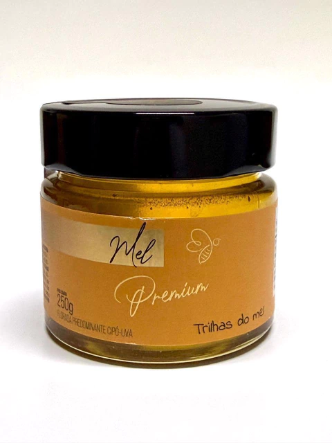 Mel Premium Pote Cipó-Uva - 250g - comprar online