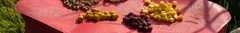 Banner da categoria Iscas Naturais