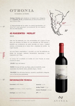Vino 45 Rugientes Merlot - comprar online