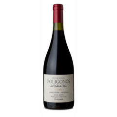 Vino Zuccardi Poligonos Gualtallary Malbec 2020
