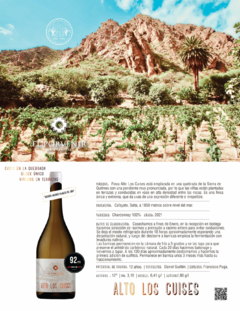 Vino El Porvenir Alto Los Cuises Chardonnay - comprar online