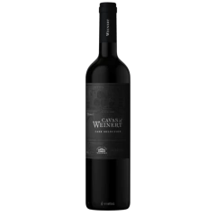 Vino Cavas De Weinert 2012