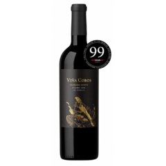 Vino Viña Cobos Bramare Marchiori Chañares Malbec