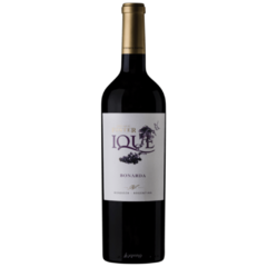 Vino Enrique Foster Ique Bonarda