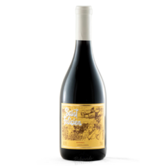 Vino Saint Felicien Bonarda