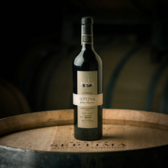 Vino Septima Gran Reserva Cabernet Sauvignon 10 Barricas 2020