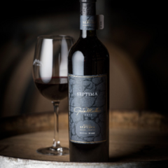 Vino Septima Gran Malbec 2019