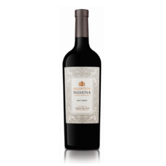 Vino Salentein Numina Petit Verdot