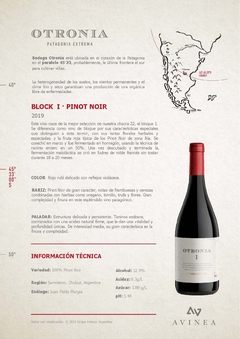 Vino Otronia Block Organico Pinot Noir - comprar online