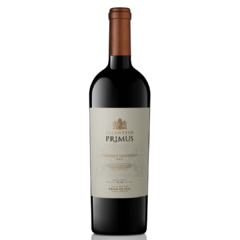 Vino Salentein Primus Cabernet Sauvignon 2018