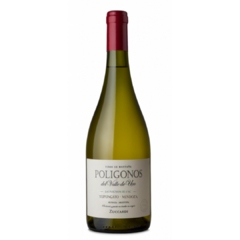 Vino Zuccardi Poligonos Tupungato Sauvignon Blanc 2023