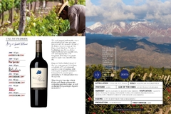 Vino Val De Flores Malbec 2020 - comprar online