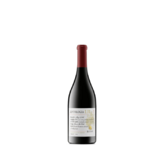 Vino Antologia LXII 2020