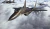 ACE COMBAT 8: WINGS OF THEVE PARA PS5 - gsutadvvp3@