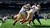 MADDEN NFL 24 PARA PS4 - loja online