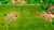 PandaBall Para PS4 - gsutadvvp3@