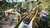 PLANET COASTER: EDIÇÃO DE CONSOLE PARA PS4 na internet