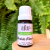 Óleo Essencial Hortelã Pimenta - 10ml - Orgânico
