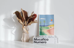 66 - comprar online
