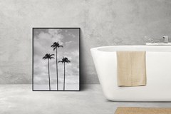 palms