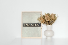 prada - comprar online