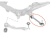Braço Dianteiro Inferior Reto Bmw 530 E60 4x4 2003-2010 Le - comprar online
