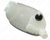 Tanque Água Radiador Mercedes Cla200 1.6 Turbo 14-18 - comprar online
