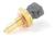 Sensor Temperatura Água Cabeçote Bmw 325i 2.5 2007 - 2013 - comprar online