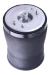 Bolsa Ar Suspensao Traseira Bmw X5 E53 3.0i 2000 2001 2002