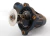 Válvula Termostática Bmw 316i 8v 1990 A 1993 Original - comprar online
