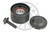 Polia De Desvio Correia Poli-v Mercedes Ml 350 2009-12 W164
