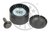 Polia De Desvio Correia Poli-v Mercedes Ml 350 2009-12 W164 - comprar online
