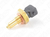 Sensor Temperatura Água Óleo Bmw 320i 2.0 Joy 09-11 - comprar online