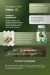 COMBO Amazon DETOX Slim + Amazon Slim GRE na internet